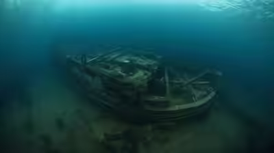 denmark just uncovered a 600 year old ship the largest medieval cargo vessel ever found