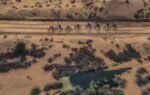 dubai al salam cycling championship desert races and record prize money