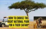 how to choose
