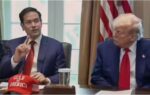 marco rubio with trump file image