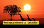 which country in the world has 3 capital cities