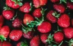 which fruit has its seeds on the outside instead of inside