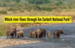 which river flows through jim corbett national park