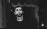 zayn