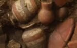 1000 year old gold tomb found in panama shows ancient treasures and powerful leaders