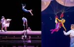 circus cirque du soleil