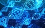 gene editing therapy removes extra chromosome behind down syndrome in a landmark lab study