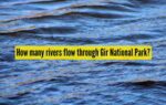 how many rivers flow through gir national park