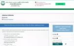 jamia millia islamia admissions