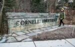 lawsuit accuses cornell university of excluding white candidates from faculty hiring