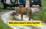 mobile phones banned in sariska rajasthan