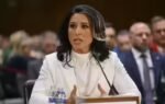tulsi gabbard