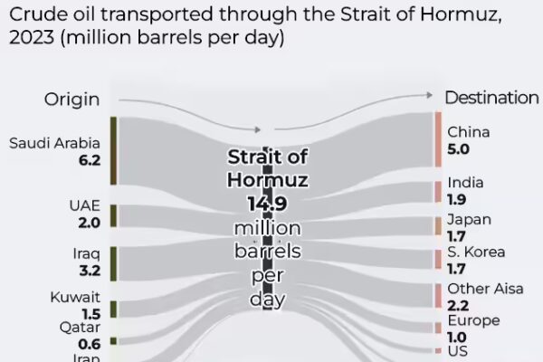1774111740 importance of hormuz for global oil flows