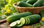 how to tell if a cucumber is bitter without cutting it