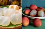 ice apple vs litchi how these two popular summer fruits differ in taste and nutrition