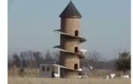 the goat tower why illinois farmers built this 31 foot tower just for goats