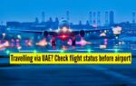uae flight status