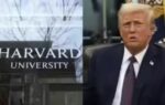 us justice department sues harvard