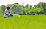 1775465318 representative image