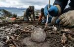 a 440 year old coin just solved the mystery of a lost spanish colony in chile