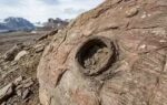a tiny hole in greenland reveals how creatures survived extreme climate 210 million years ago