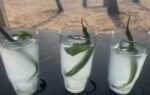 goan feni