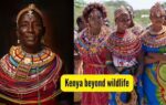 kenya beyond wildlife