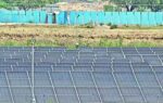 solar infra helps india meet record 256gw power demand