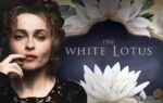 the white lotus