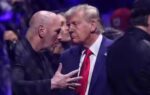 ufc dana and trump