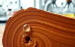 wood grain under cleaning analysis