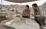 150 million year old soft tissue fossil discovery strengthens darwins theory of evolution
