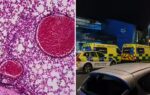 1778924237 uk