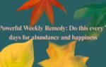 1779626247 image source canva