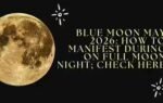 1779957091 image source canva