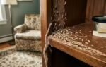 6 easy home remedies to remove termites from wooden furniture