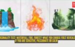 fire forest