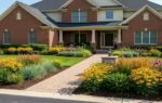 how to grow a native front yard without making it look messy