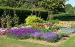 how to stop a sunny garden border from looking washed out by late summer
