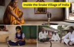 inside the snake village of india
