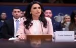 tulsi gabbard