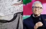 why a bill gates backed insect factory releases 30 million mosquitoes every week