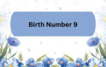 131926499.cms
