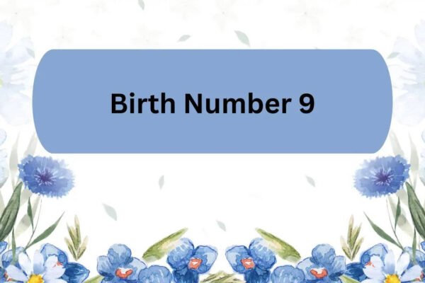 131926499.cms