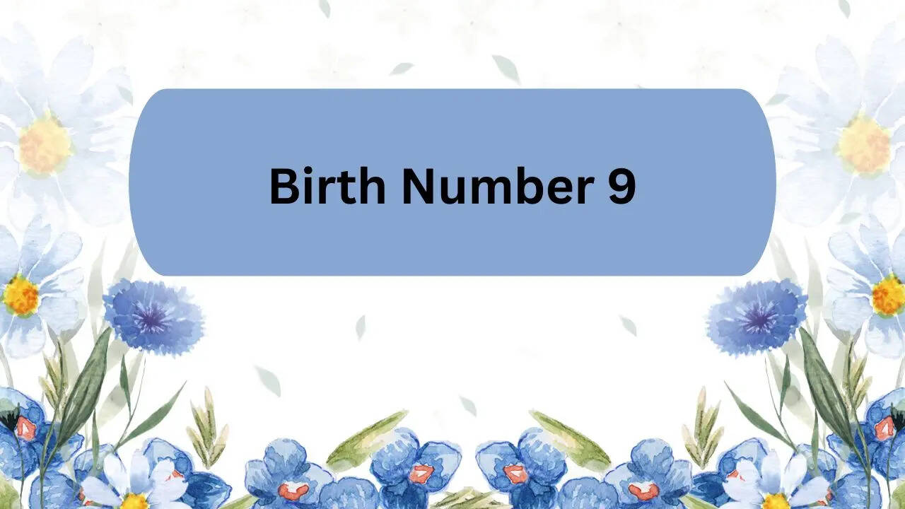 131926499.cms