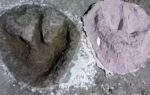 166 million year old jurassic dinosaur highway discovered beneath a british quarry
