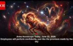 1782071251 aries