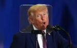 1782357882 donald trump