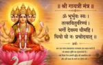 1782371374 toi image