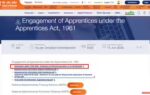 bank of baroda apprentice exam